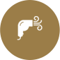 Coupe Fille<em></em>